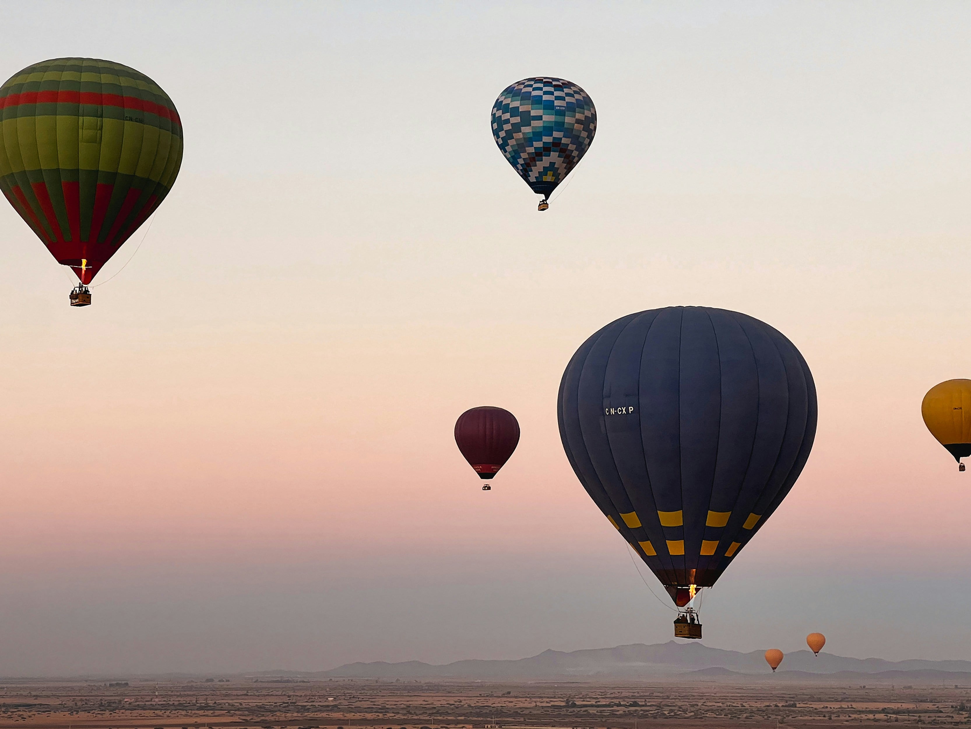 A hot-air balloon over the Marrakech Palmeraie at sunrise