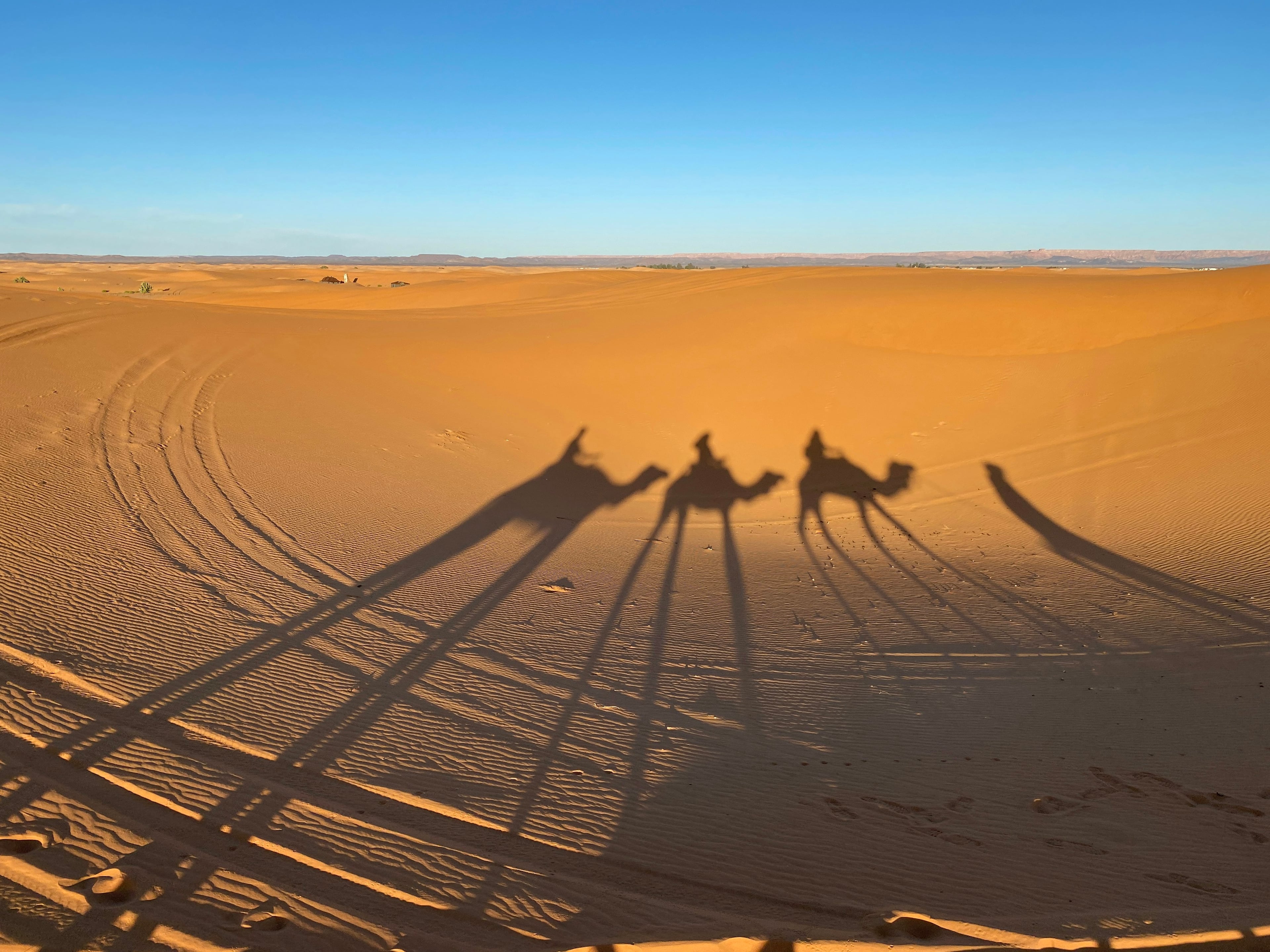 A camel caravan crossing the dunes of Erg Chebbi